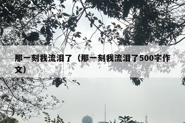 那一刻我流泪了（那一刻我流泪了500字作文）