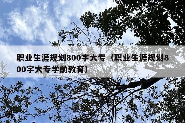 职业生涯规划800字大专（职业生涯规划800字大专学前教育）