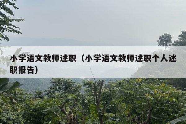 小学语文教师述职（小学语文教师述职个人述职报告）