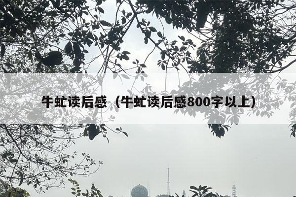 牛虻读后感（牛虻读后感800字以上）