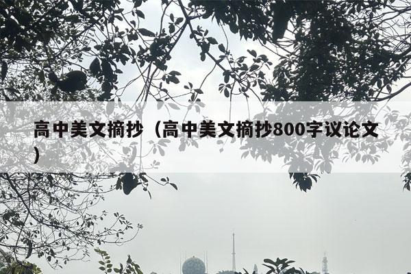 高中美文摘抄（高中美文摘抄800字议论文）