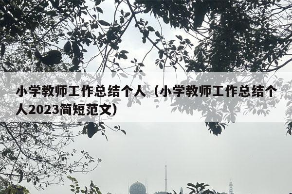 小学教师工作总结个人（小学教师工作总结个人2023简短范文）