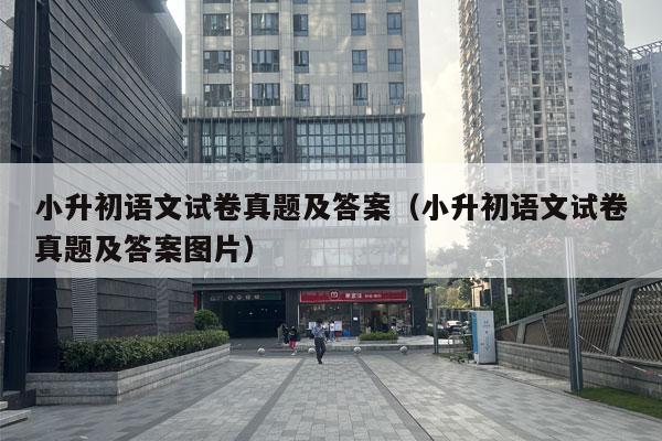 小升初语文试卷真题及答案（小升初语文试卷真题及答案图片）