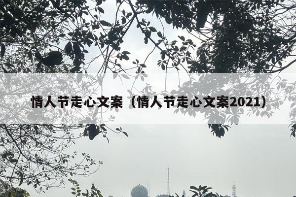 情人节走心文案（情人节走心文案2021）