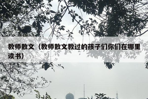 教师散文（教师散文教过的孩子们你们在哪里读书）