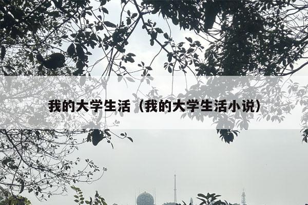 我的大学生活（我的大学生活小说）