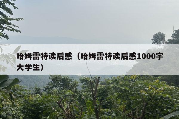 哈姆雷特读后感（哈姆雷特读后感1000字大学生）