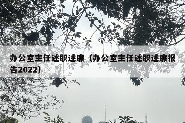 办公室主任述职述廉（办公室主任述职述廉报告2022）