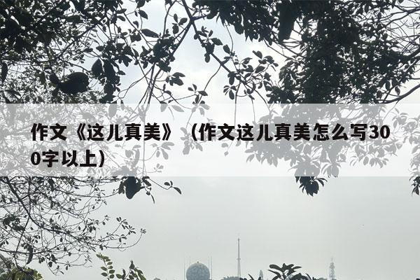 作文《这儿真美》（作文这儿真美怎么写300字以上）