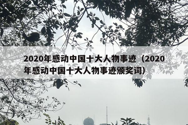 2020年感动中国十大人物事迹（2020年感动中国十大人物事迹颁奖词）