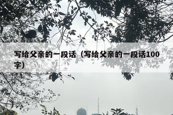 写给父亲的一段话（写给父亲的一段话100字）