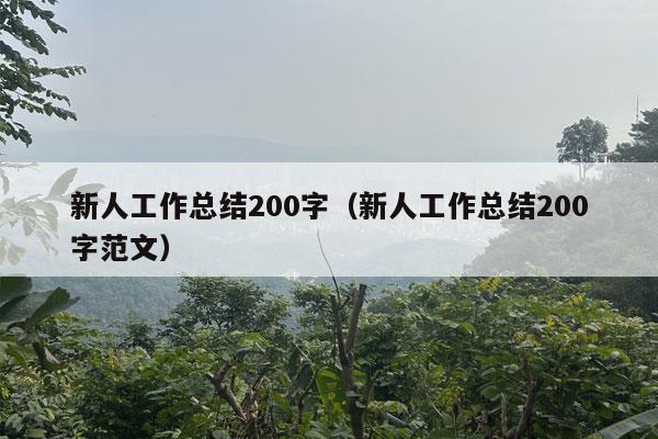 新人工作总结200字（新人工作总结200字范文）