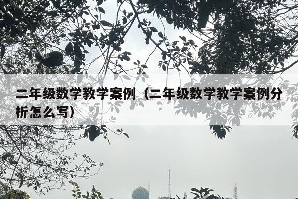 二年级数学教学案例（二年级数学教学案例分析怎么写）