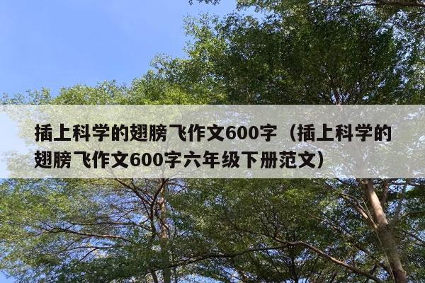 插上科学的翅膀飞作文600字（插上科学的翅膀飞作文600字六年级下册范文）