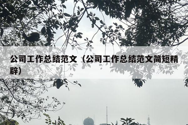 公司工作总结范文（公司工作总结范文简短精辟）