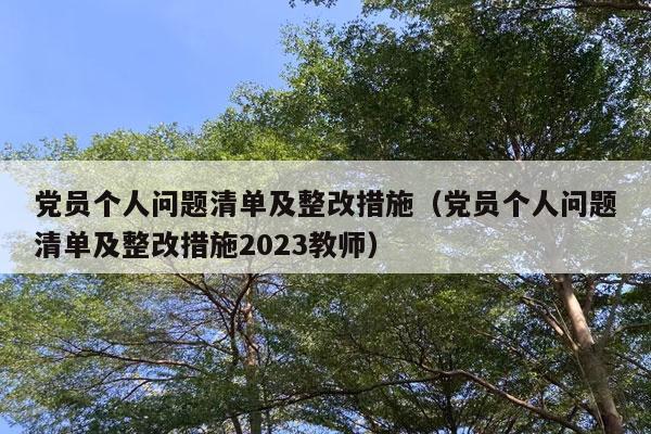 党员个人问题清单及整改措施（党员个人问题清单及整改措施2023教师）