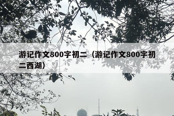 游记作文800字初二（游记作文800字初二西湖）