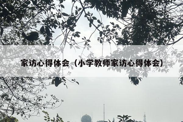 家访心得体会（小学教师家访心得体会）