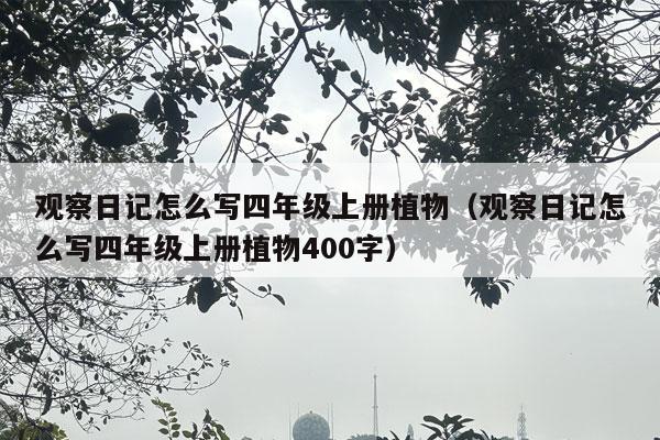 观察日记怎么写四年级上册植物（观察日记怎么写四年级上册植物400字）