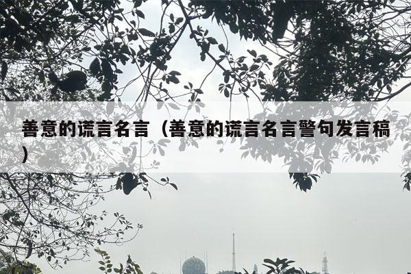 善意的谎言名言（善意的谎言名言警句发言稿）