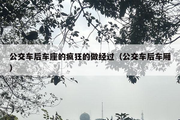 公交车后车座的疯狂的做经过（公交车后车厢）