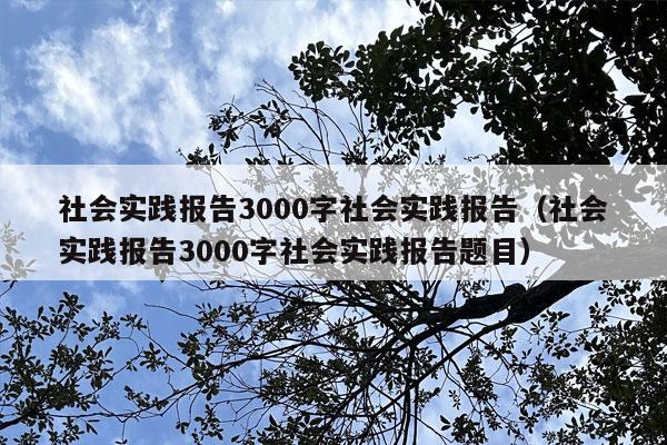 社会实践报告3000字社会实践报告（社会实践报告3000字社会实践报告题目）