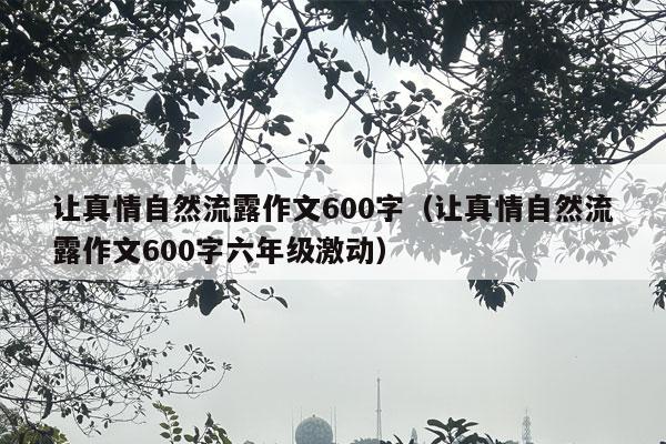 让真情自然流露作文600字（让真情自然流露作文600字六年级激动）