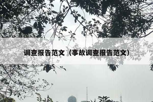 调查报告范文（事故调查报告范文）