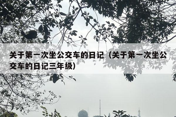 关于第一次坐公交车的日记（关于第一次坐公交车的日记三年级）