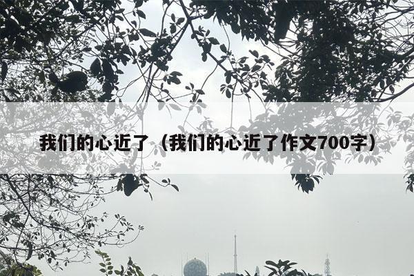 我们的心近了（我们的心近了作文700字）