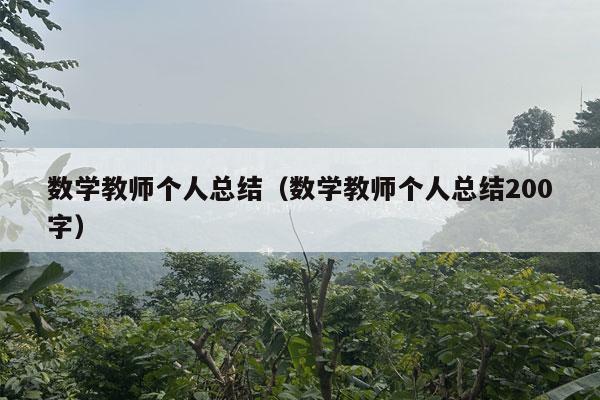 数学教师个人总结（数学教师个人总结200字）