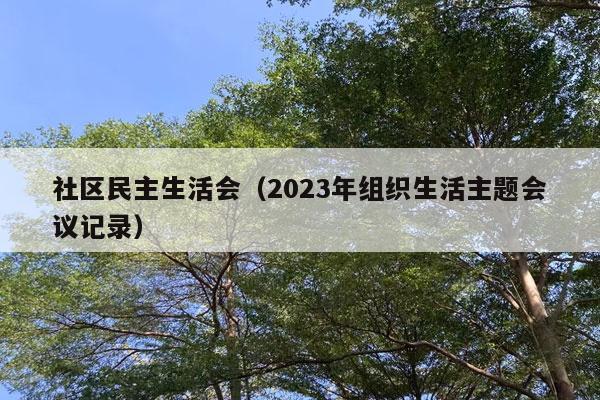 社区民主生活会（2023年组织生活主题会议记录）