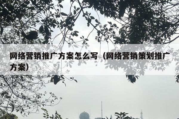 网络营销推广方案怎么写（网络营销策划推广方案）