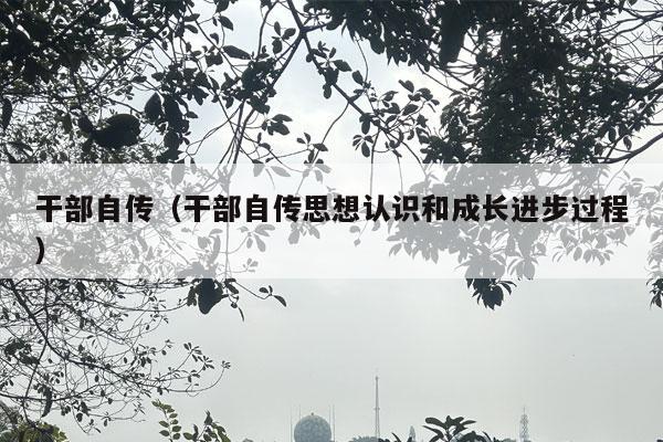 干部自传（干部自传思想认识和成长进步过程）