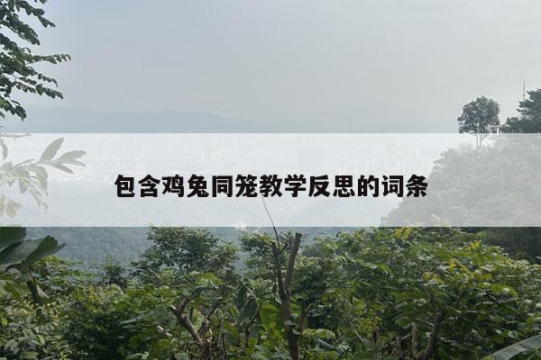 包含鸡兔同笼教学反思的词条