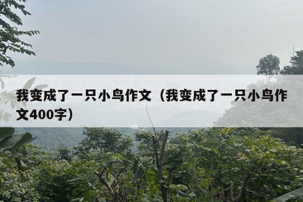 我变成了一只小鸟作文（我变成了一只小鸟作文400字）