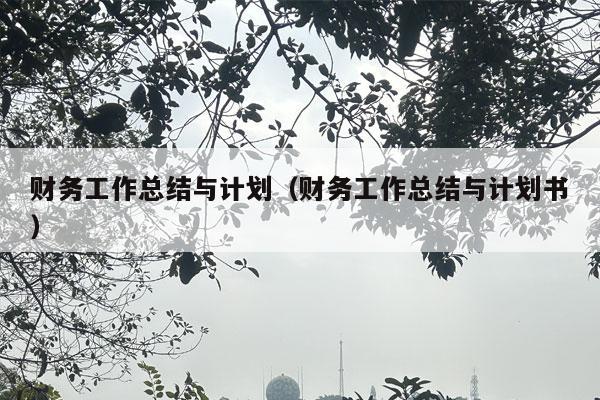 财务工作总结与计划（财务工作总结与计划书）