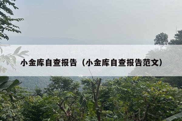 小金库自查报告（小金库自查报告范文）