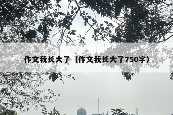 作文我长大了（作文我长大了750字）