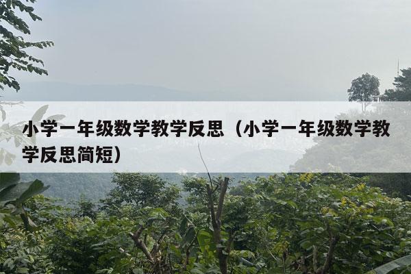 小学一年级数学教学反思（小学一年级数学教学反思简短）