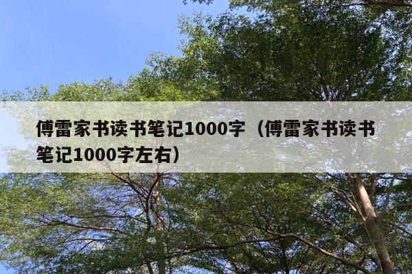 傅雷家书读书笔记1000字（傅雷家书读书笔记1000字左右）