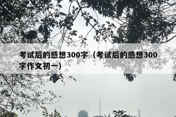 考试后的感想300字（考试后的感想300字作文初一）