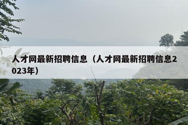 人才网最新招聘信息（人才网最新招聘信息2023年）