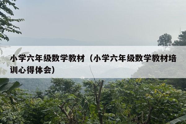 小学六年级数学教材（小学六年级数学教材培训心得体会）