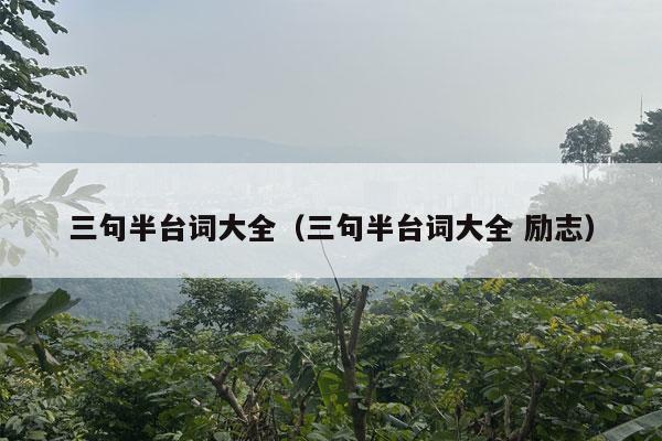 三句半台词大全（三句半台词大全 励志）