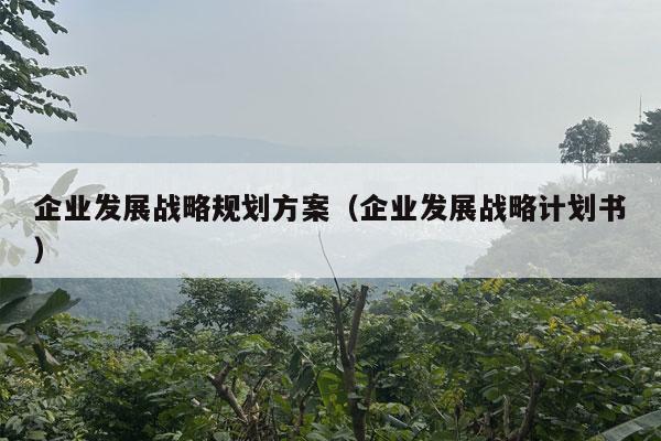 企业发展战略规划方案（企业发展战略计划书）