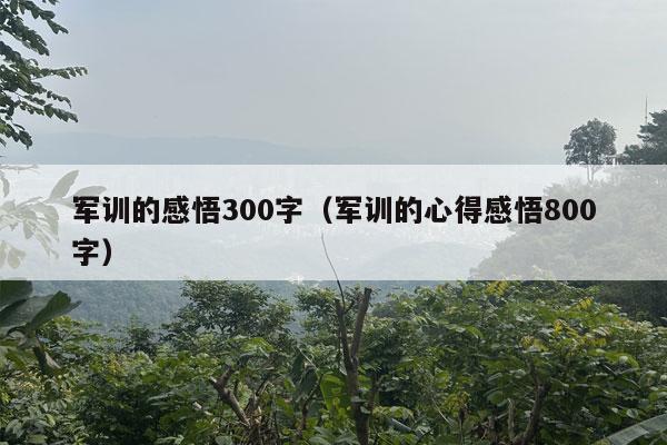 军训的感悟300字（军训的心得感悟800字）