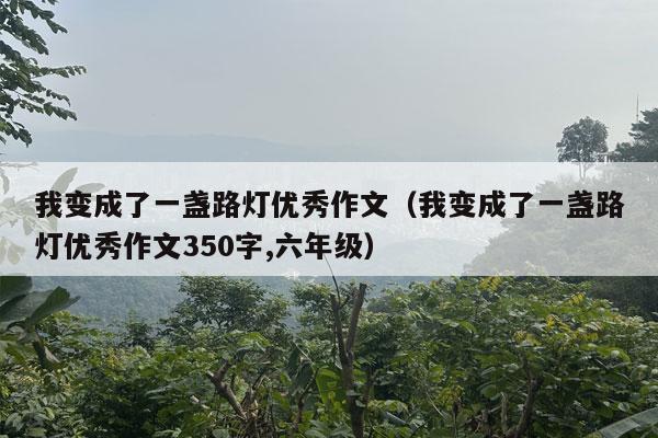 我变成了一盏路灯优秀作文（我变成了一盏路灯优秀作文350字,六年级）