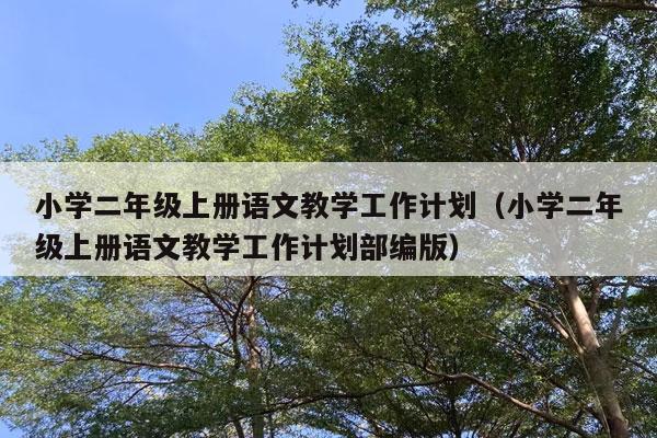 小学二年级上册语文教学工作计划（小学二年级上册语文教学工作计划部编版）