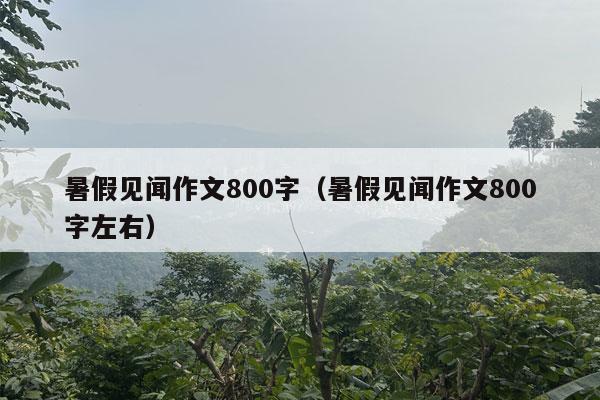 暑假见闻作文800字（暑假见闻作文800字左右）